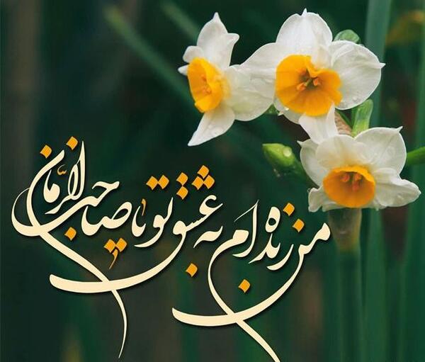 عکس گل امام زمان