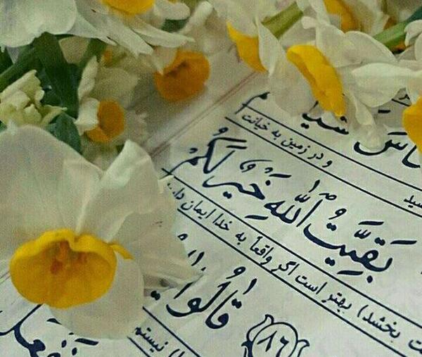 عکس گل امام زمان