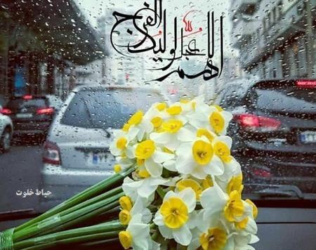 عکس گل امام زمان