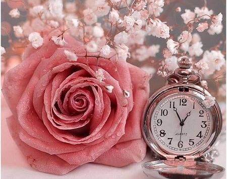 عکس گل صورتی برای پروفایل