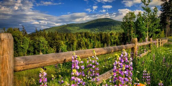 عکس طبیعت ایران با کیفیت hd