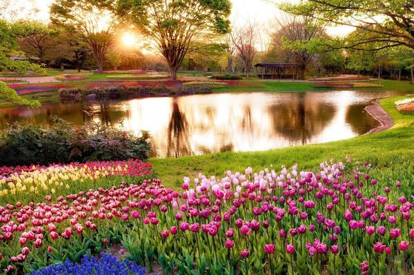 عکس تصویر زمینه بهار