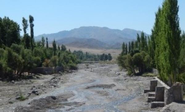 عکس از طبیعت دهبکری