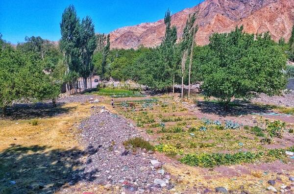 عکس از طبیعت دهبکری