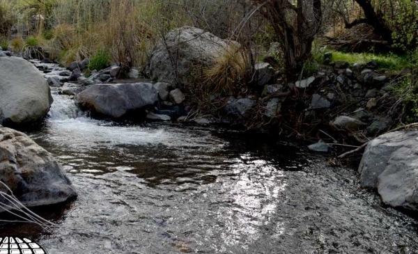 عکس از طبیعت دهبکری