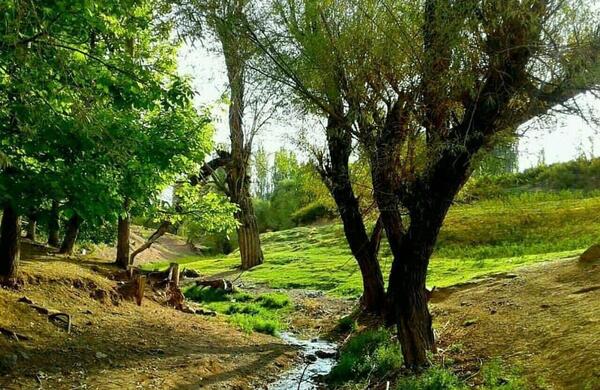 عکس از طبیعت دهبکری