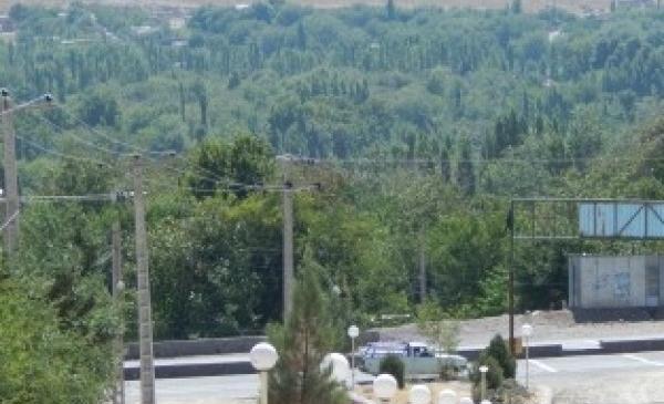 عکس از طبیعت دهبکری