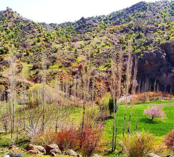 عکس از طبیعت دهبکری