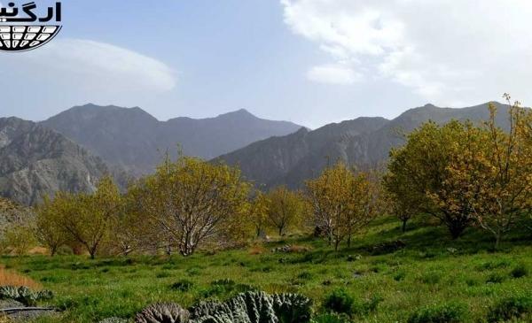 عکس از طبیعت دهبکری