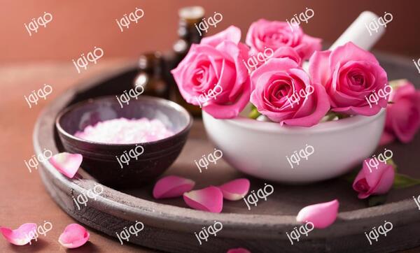 عکس گل محمدی