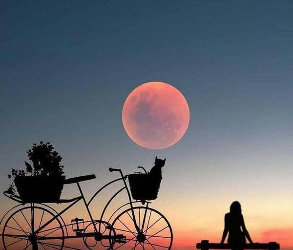 عکس پروفایل فانتزی شیک