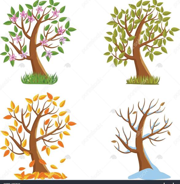 عکس بهاری تابستانی