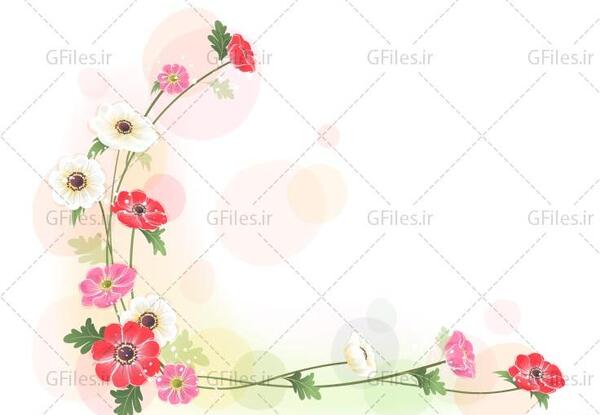عکس گل حاشیه