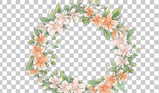 عکس گل حاشیه