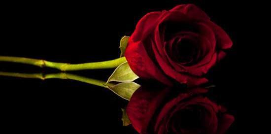 عکس برای تشکر تسلیت